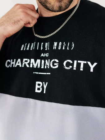 Футболка мужская базовая хлопок с принтом