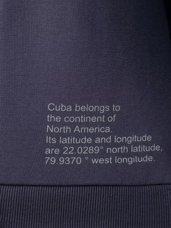 Свитшот мужской с принтом