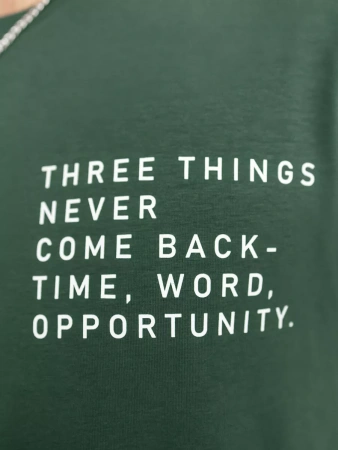 Футболка мужская базовая с принтом хлопок