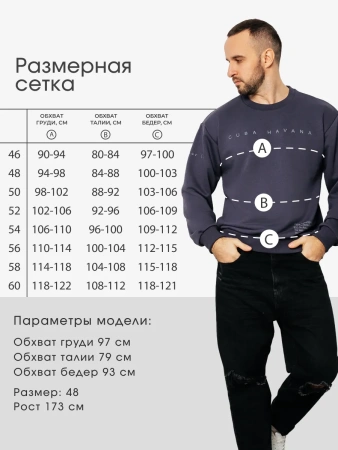 Свитшот мужской с принтом