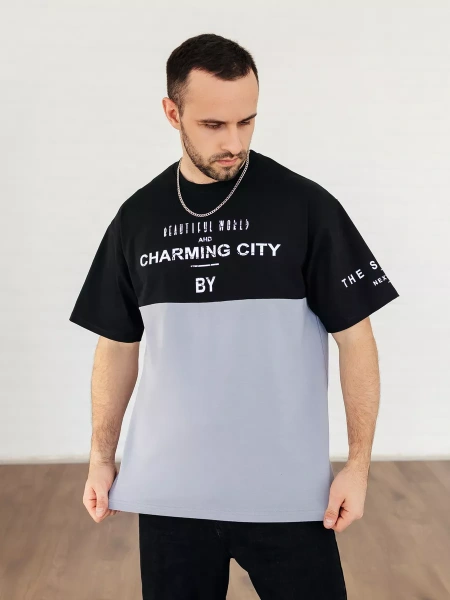 Футболка мужская базовая хлопок с принтом