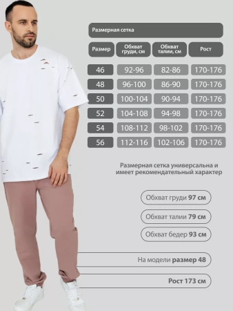 Спортивные штаны мужские