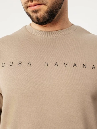 Свитшот мужской с принтом больших размеров