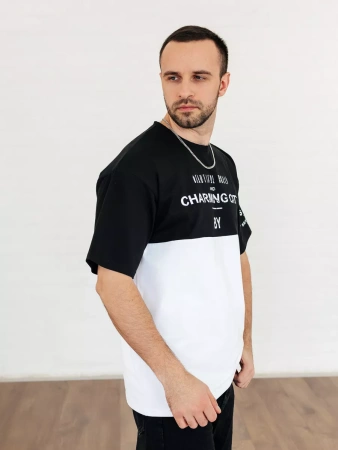 Футболка мужская базовая хлопок с принтом