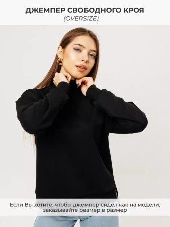 Свитер с горлом кофта с длинным рукавом ДФ542