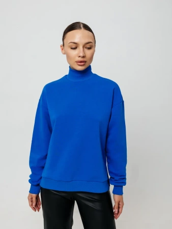 Свитер с горлом кофта с длинным рукавом ДФ542