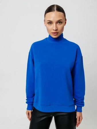 Свитер с горлом кофта с длинным рукавом ДФ542