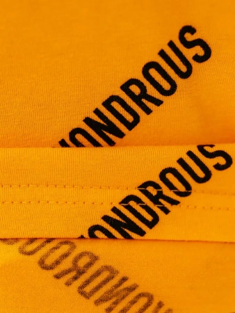 Футболка женская с принтом больших размеров ФК561