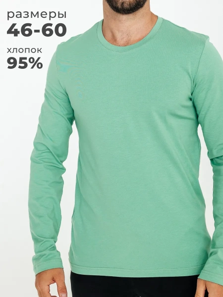 Лонгслив мужской с длинным рукавом больших размеров
