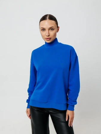 Свитер с горлом кофта с длинным рукавом ДФ542